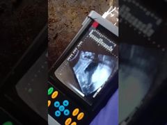 Máy siêu âm thú y cầm tay BR-VET7