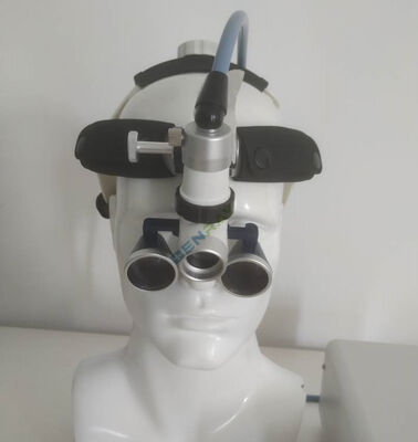 ENT Dental GNY Veterinary Surgery Fiber Optic Headlight