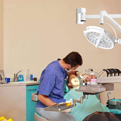 Wall Mounted ENT Dental GNY Veterinary Surgery LED Operating Lamp Exam Lamp