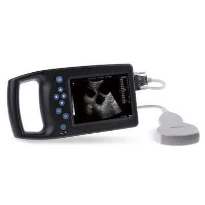 Handheld veterinary digital ultrasound scanner