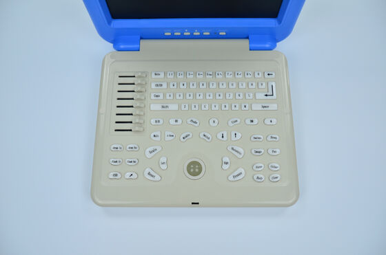 Digital Laptop Ultrasonic  Diagnosis  Equipment to Human