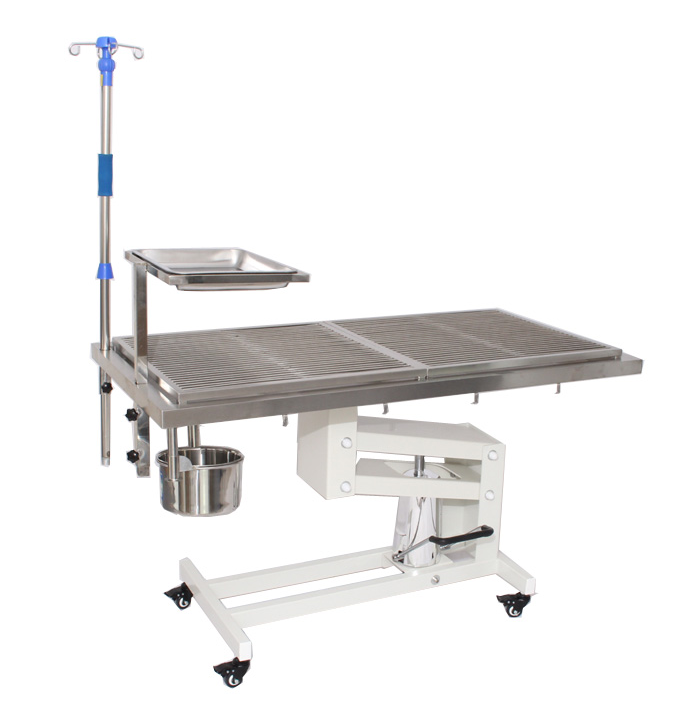 Stainless Steel 304 Electric Veterinary Operating Table Animal Operation Table