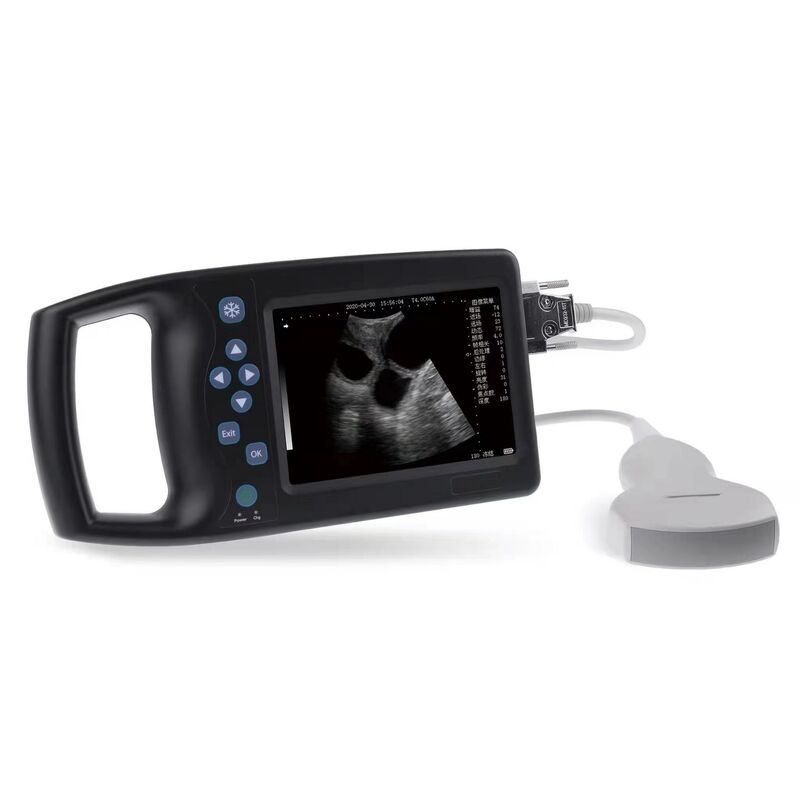 Handheld veterinary digital ultrasound scanner